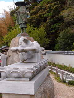 P4238968.jpg