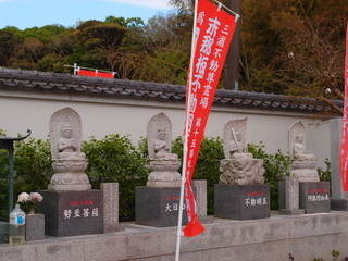 P4238971.jpg