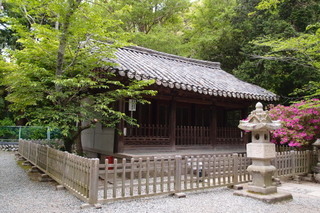 P4275169.jpg