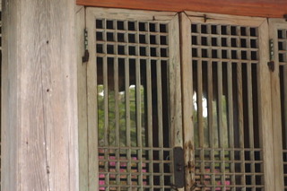 P4275173.jpg