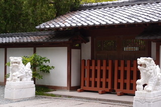 P4275197.jpg