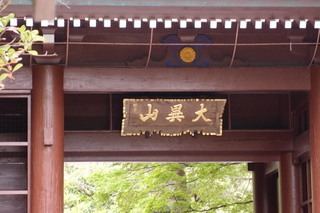 P4275201.jpg