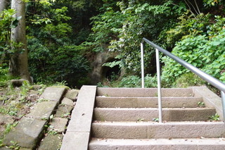P4275207.jpg