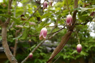 P4275236.jpg