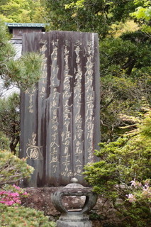 P4275246.jpg