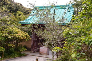 P4275247.jpg