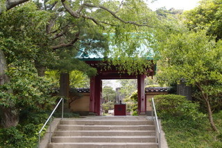 P4275249.jpg