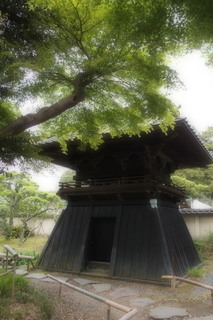 P4275262.jpg