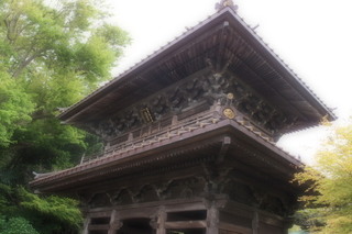 P4275267.jpg