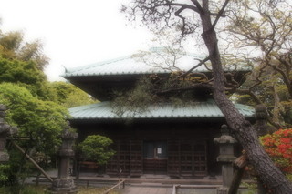 P4275301.jpg