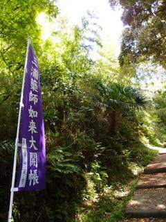 P4289005.jpg