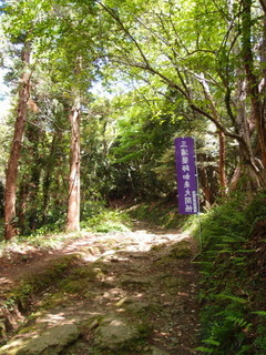P4289010.jpg