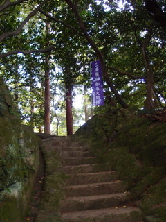 P4289012.jpg