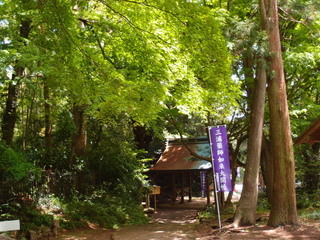 P4289019.jpg