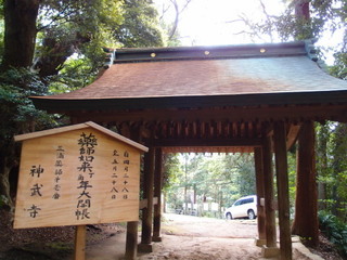 P4289023.jpg