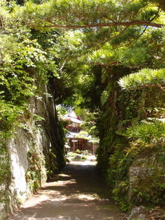 P4289027.jpg