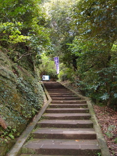 P4289028.jpg