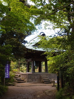 P4289031.jpg