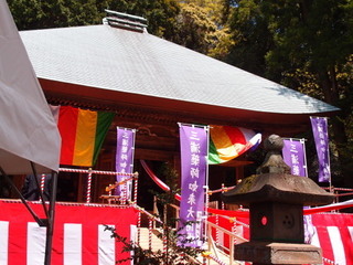 P4289041.jpg