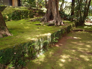 P4289047.jpg