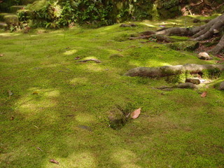 P4289048.jpg