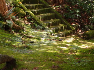 P4289049.jpg