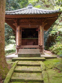 P4289055.jpg