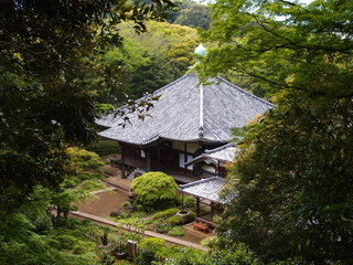 P4289060.jpg