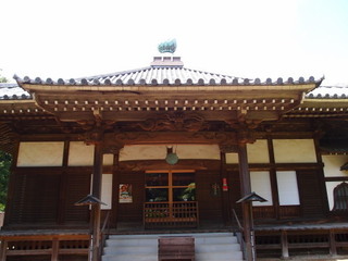 P4289063.jpg
