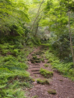 P4289075.jpg