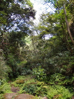 P4289076.jpg