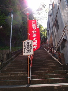 P4289084.jpg