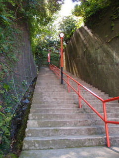 P4289086.jpg