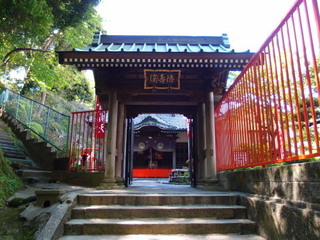 P4289087.jpg