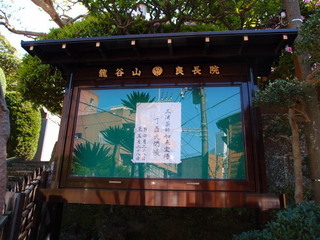 P4289093.jpg