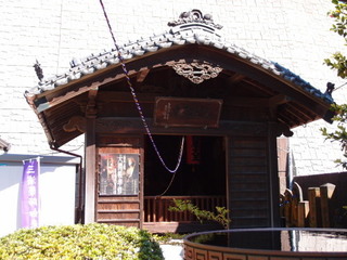 P4289097.jpg