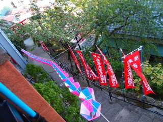 P4289121.jpg