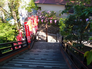 P4289122.jpg