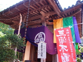 P4289125.jpg