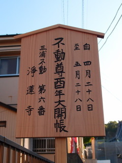 P4289133.jpg