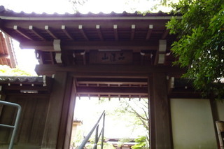 P4295310.jpg