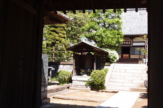 P4295349.jpg