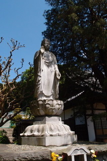 P4295355.jpg