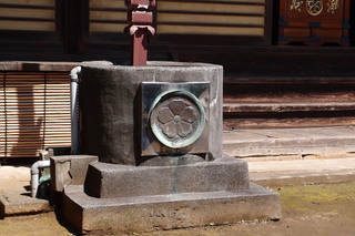 P4295363.jpg