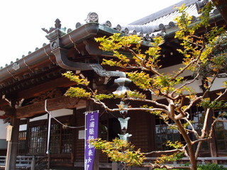 P5019144.jpg