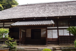 P5035383.jpg