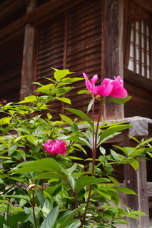 P5035386.jpg