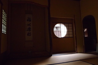 P5035394.jpg