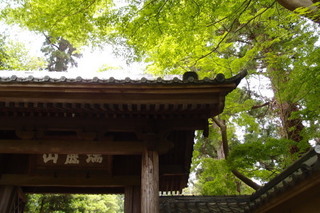 P5035412.jpg