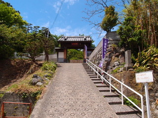 P5049211.jpg